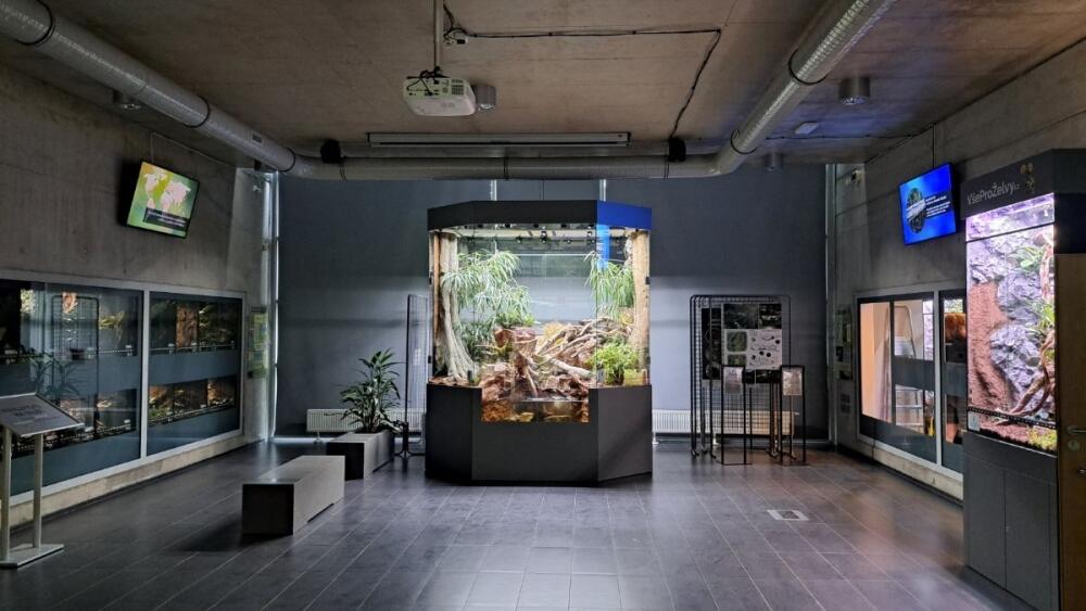 Paludárium v pavilonu ZooExpo, foto: Zoo Liberec
